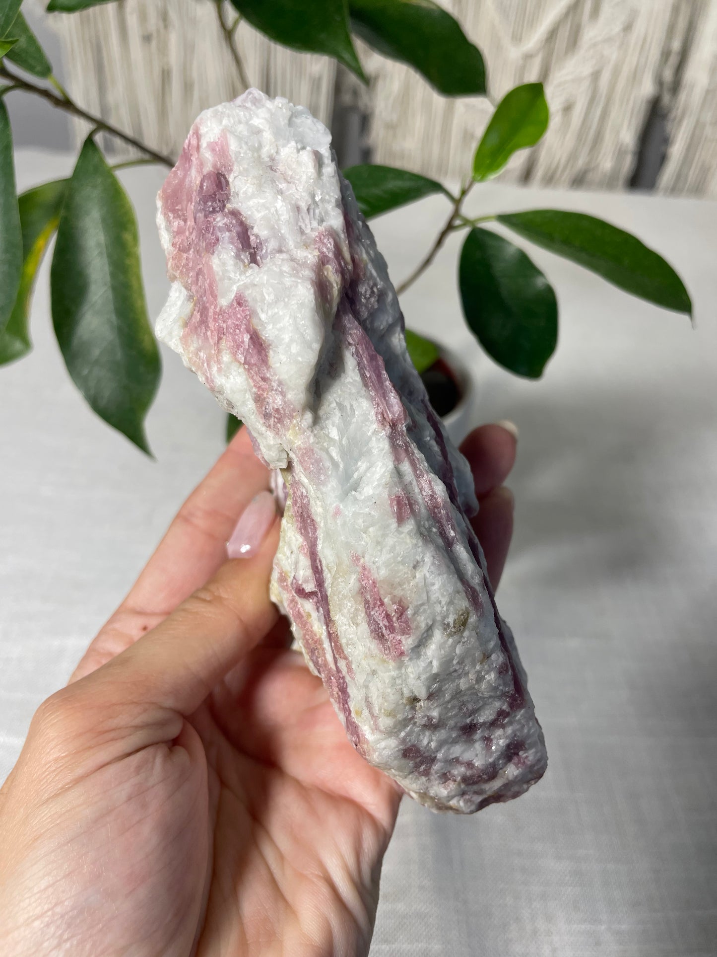 Pink Tourmaline