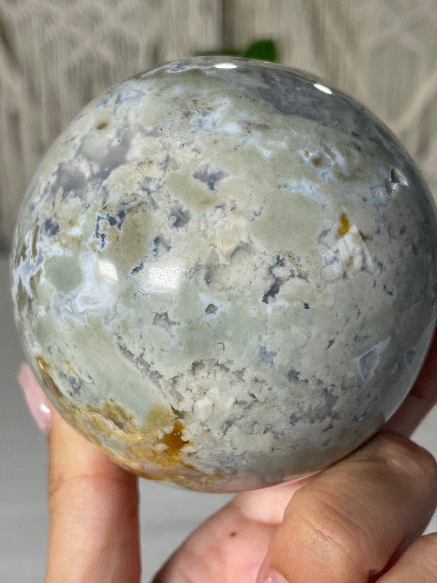Pastel Blue/Green Petrified Wood Sphere