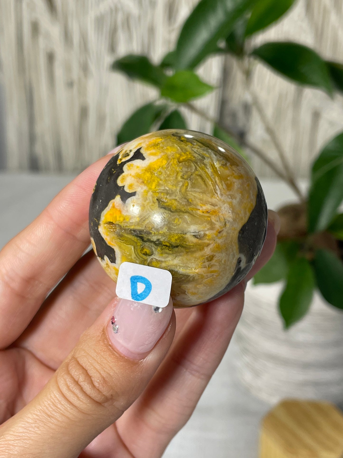 Bumblebee Jasper Spheres