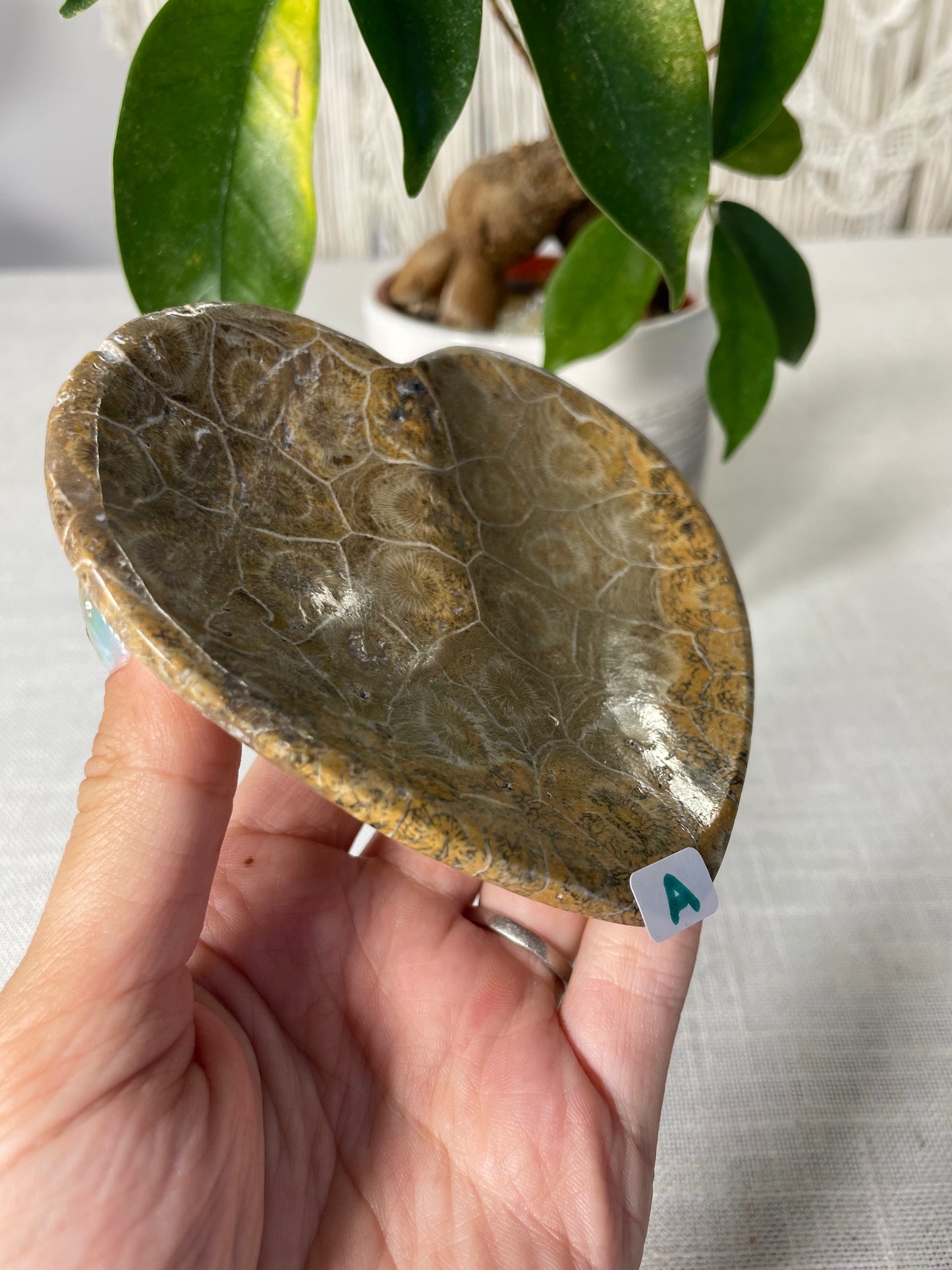 Coral Heart Bowl (A)