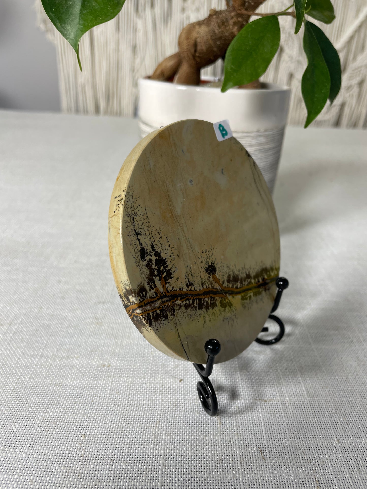 Picture Jasper Slab (B)
