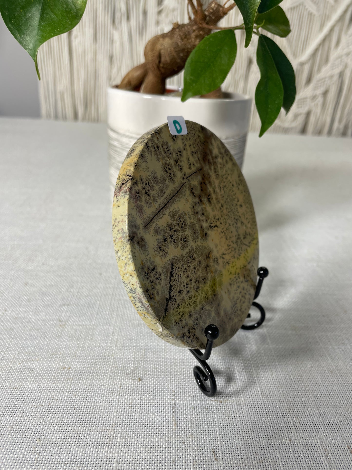 Picture Jasper Slab (D)