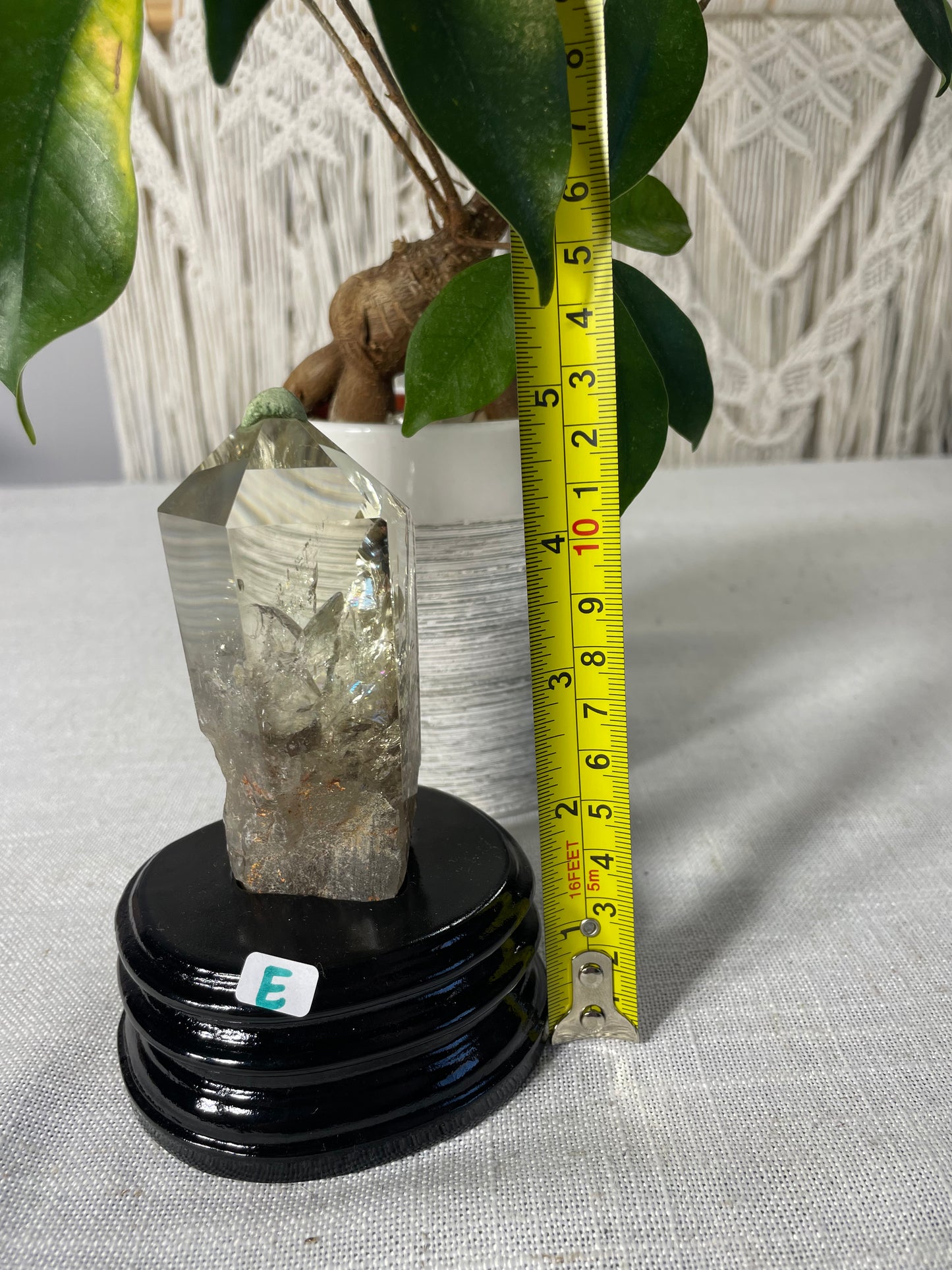 Citrine in wood stand (E)