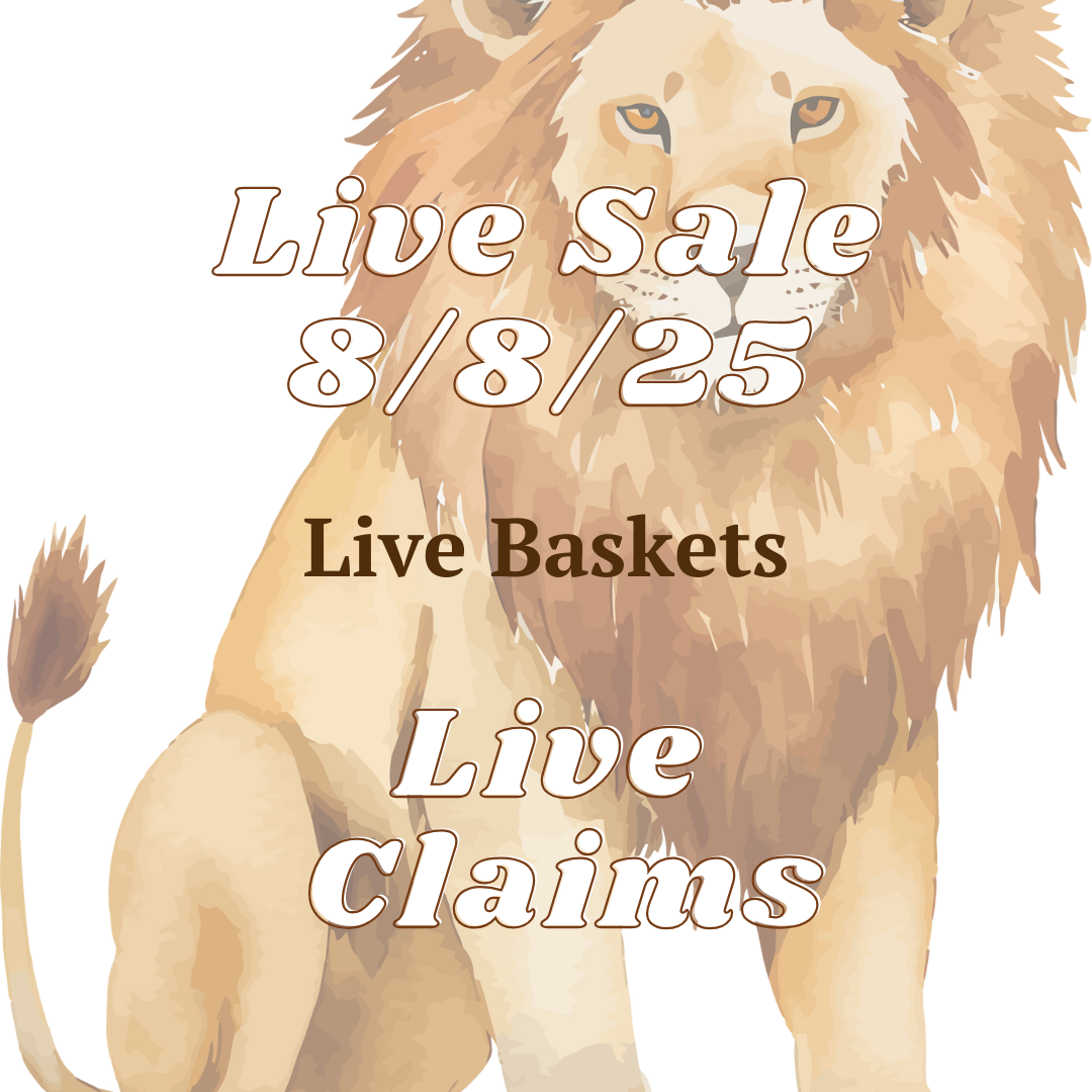 Alicea Basket