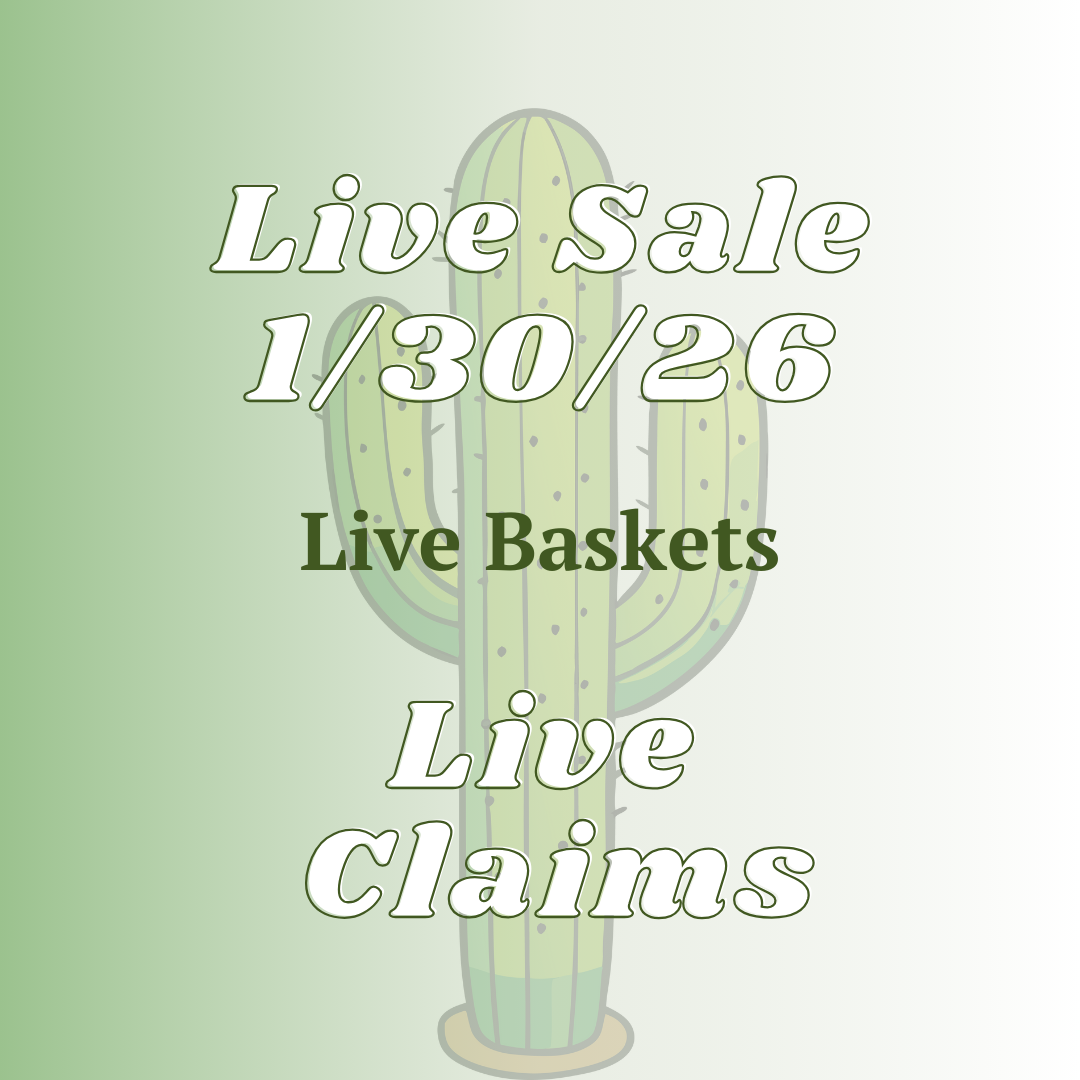 Tracy Basket