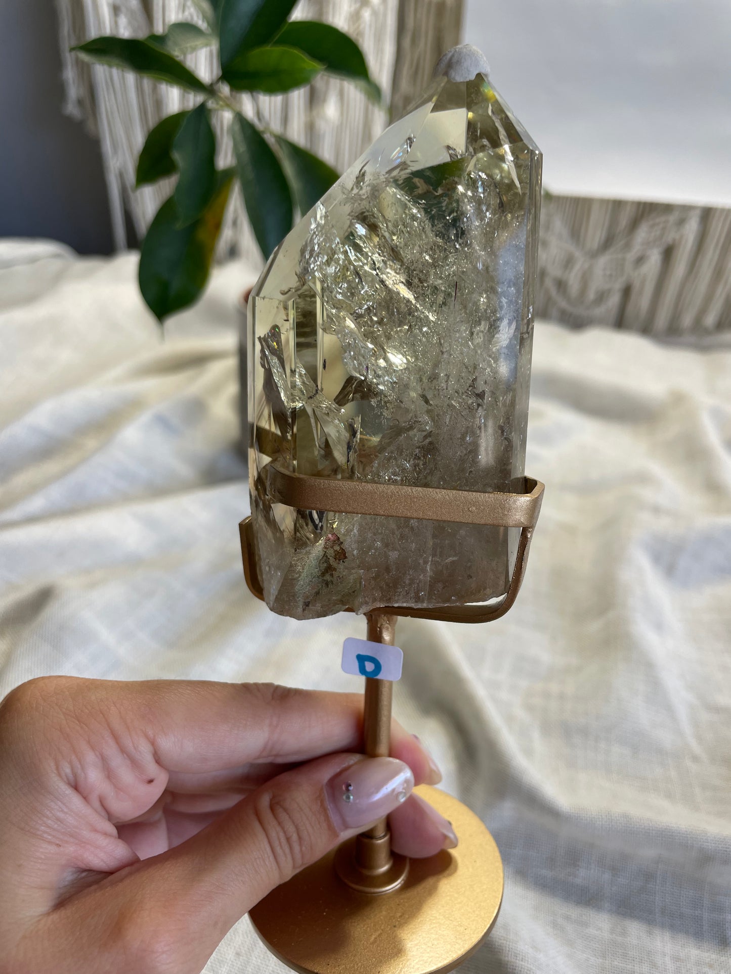 Citrine Gold Stand (D)