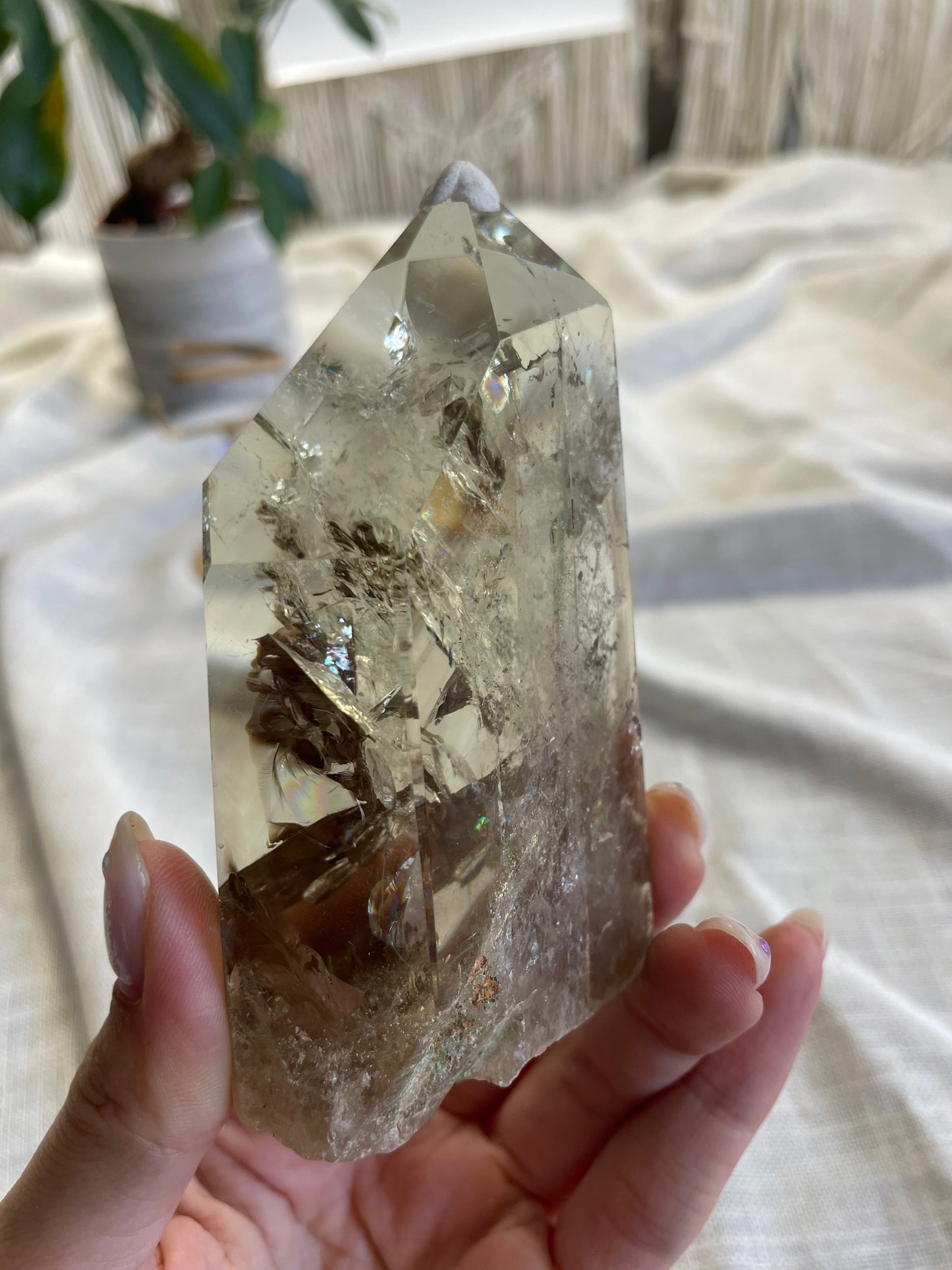 Citrine Gold Stand (D)