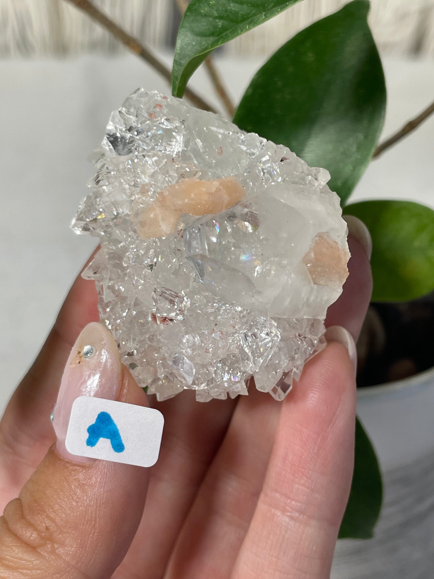 Diamond Apophyllite with Peach Stilbite Specimens
