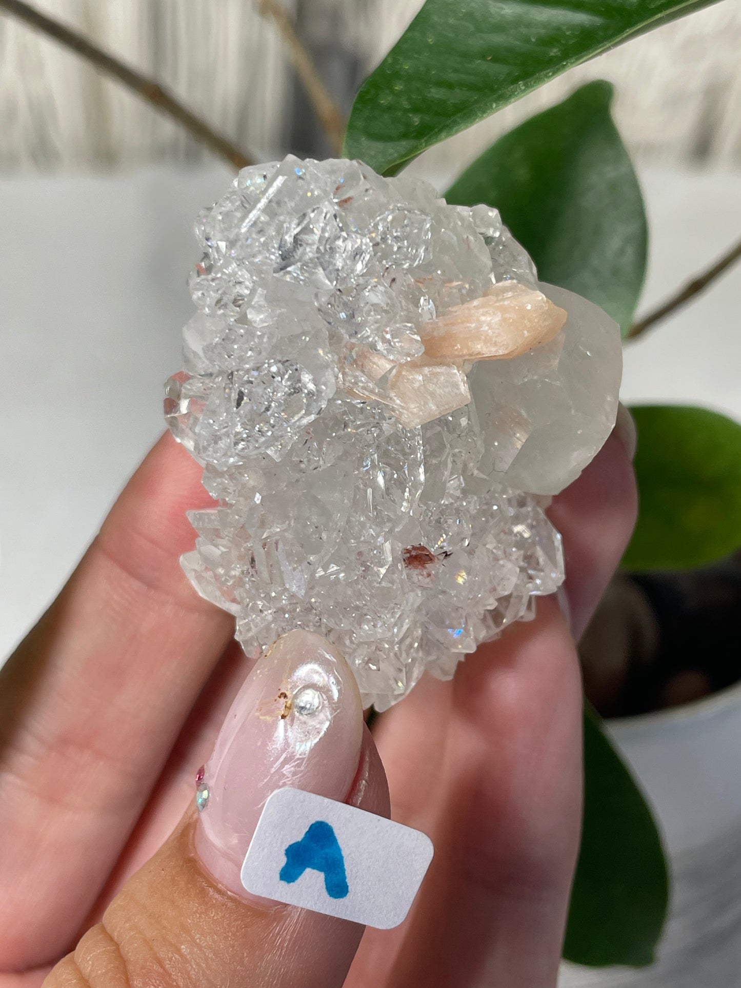 Diamond Apophyllite with Peach Stilbite Specimens