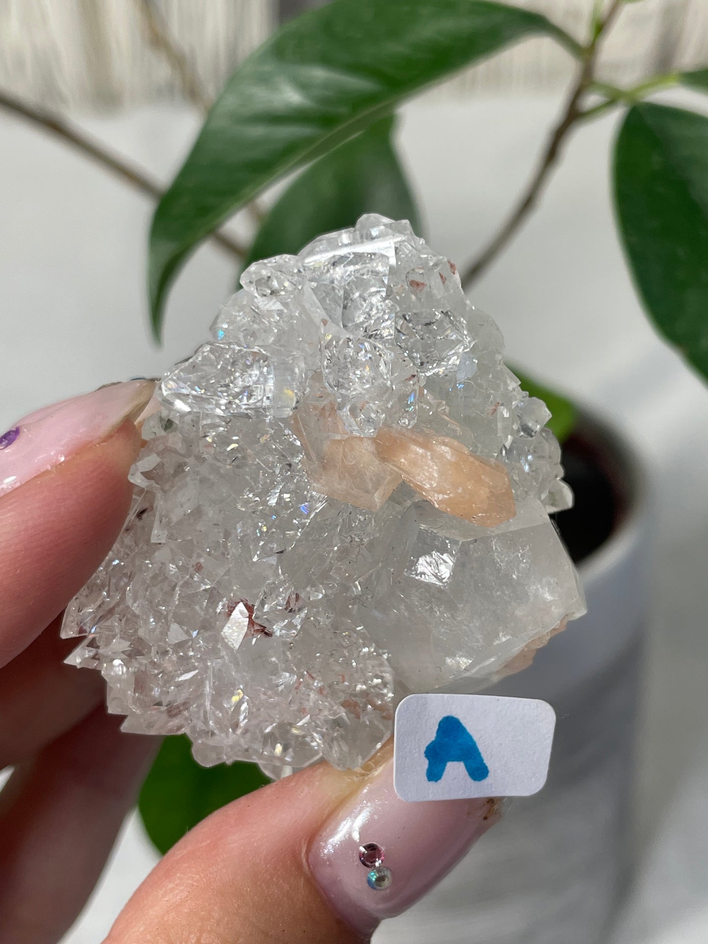 Diamond Apophyllite with Peach Stilbite Specimens