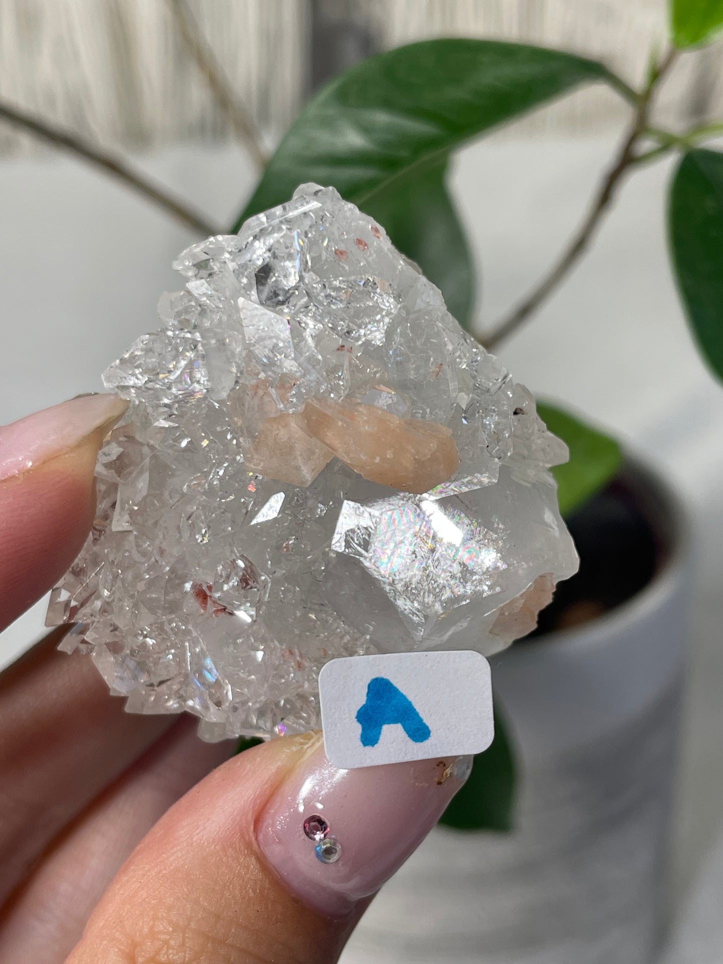 Diamond Apophyllite with Peach Stilbite Specimens