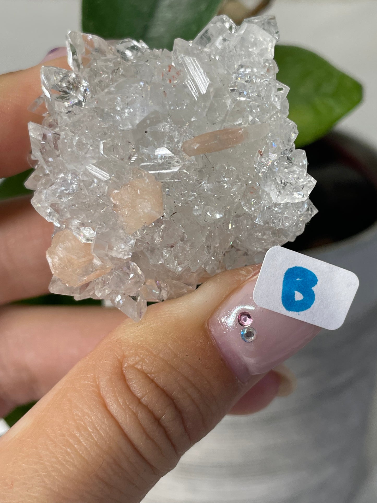 Diamond Apophyllite with Peach Stilbite Specimens