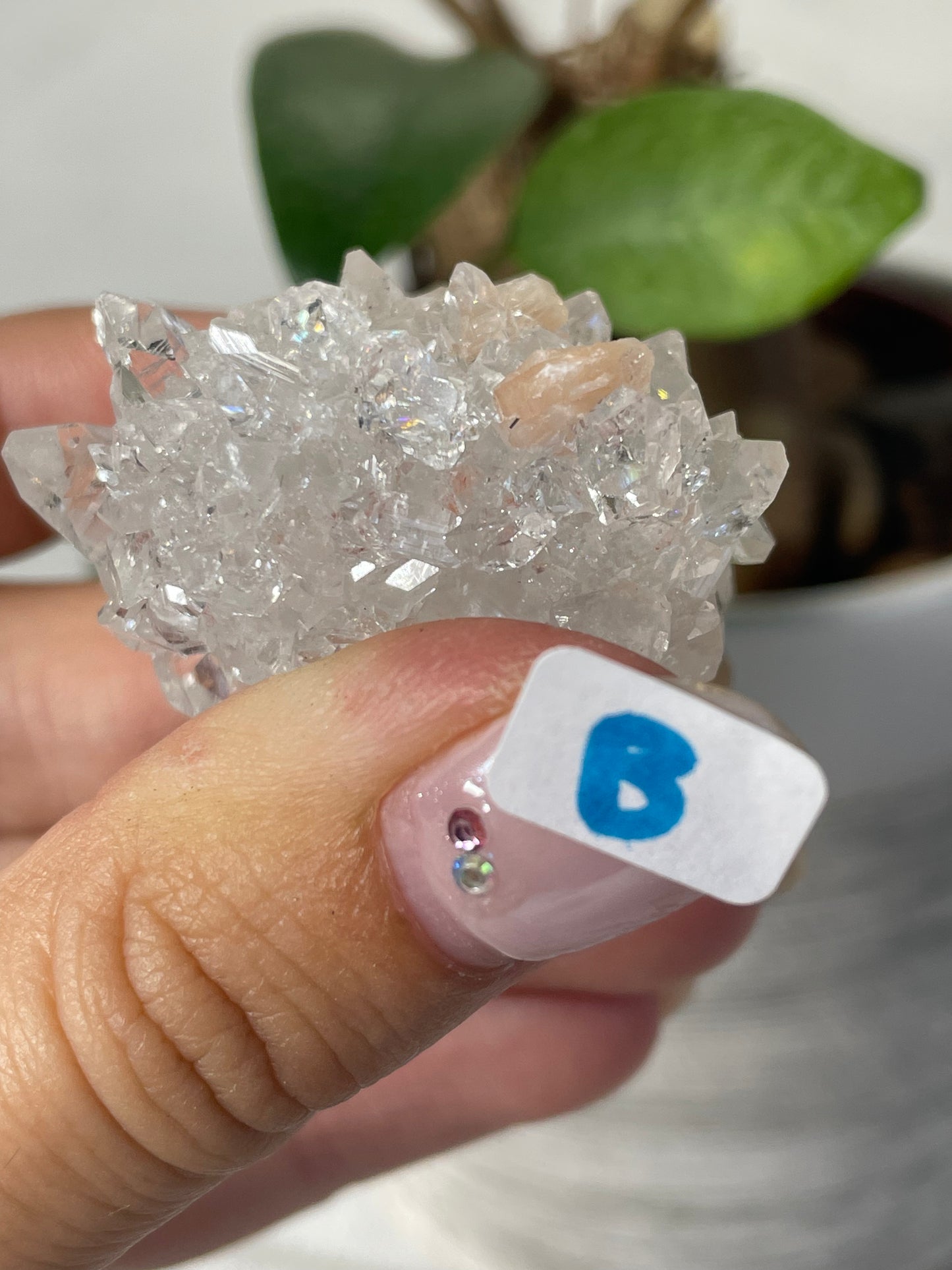 Diamond Apophyllite with Peach Stilbite Specimens