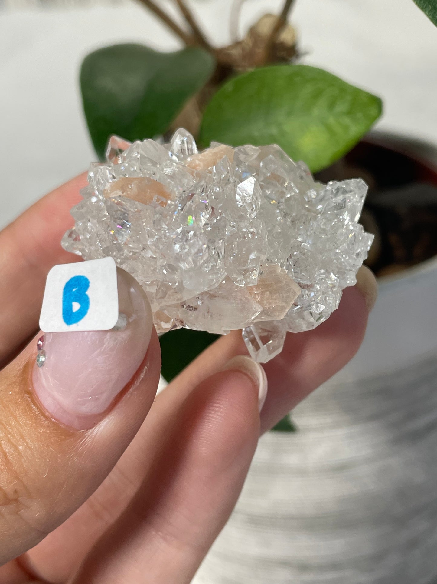 Diamond Apophyllite with Peach Stilbite Specimens