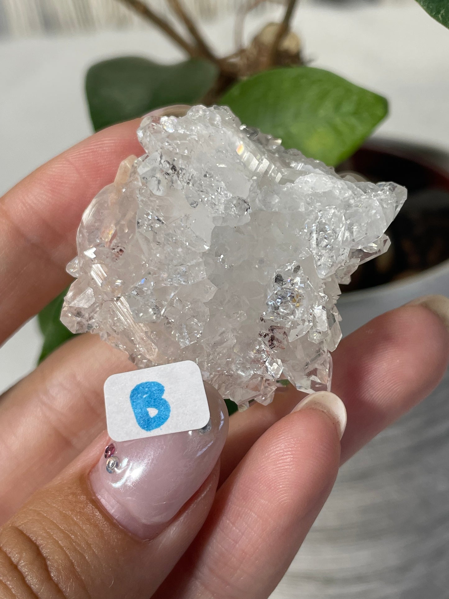 Diamond Apophyllite with Peach Stilbite Specimens