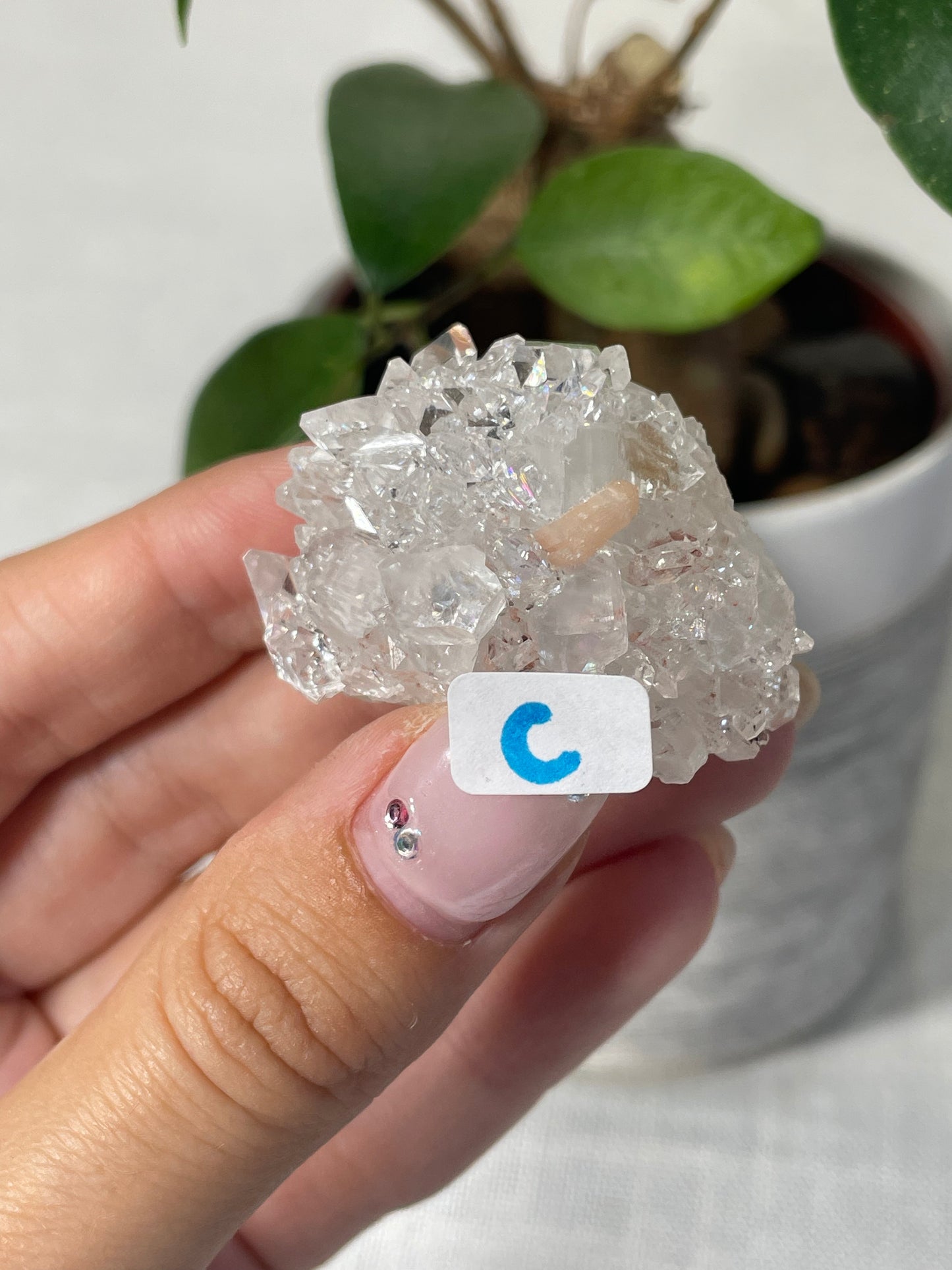 Diamond Apophyllite with Peach Stilbite Specimens