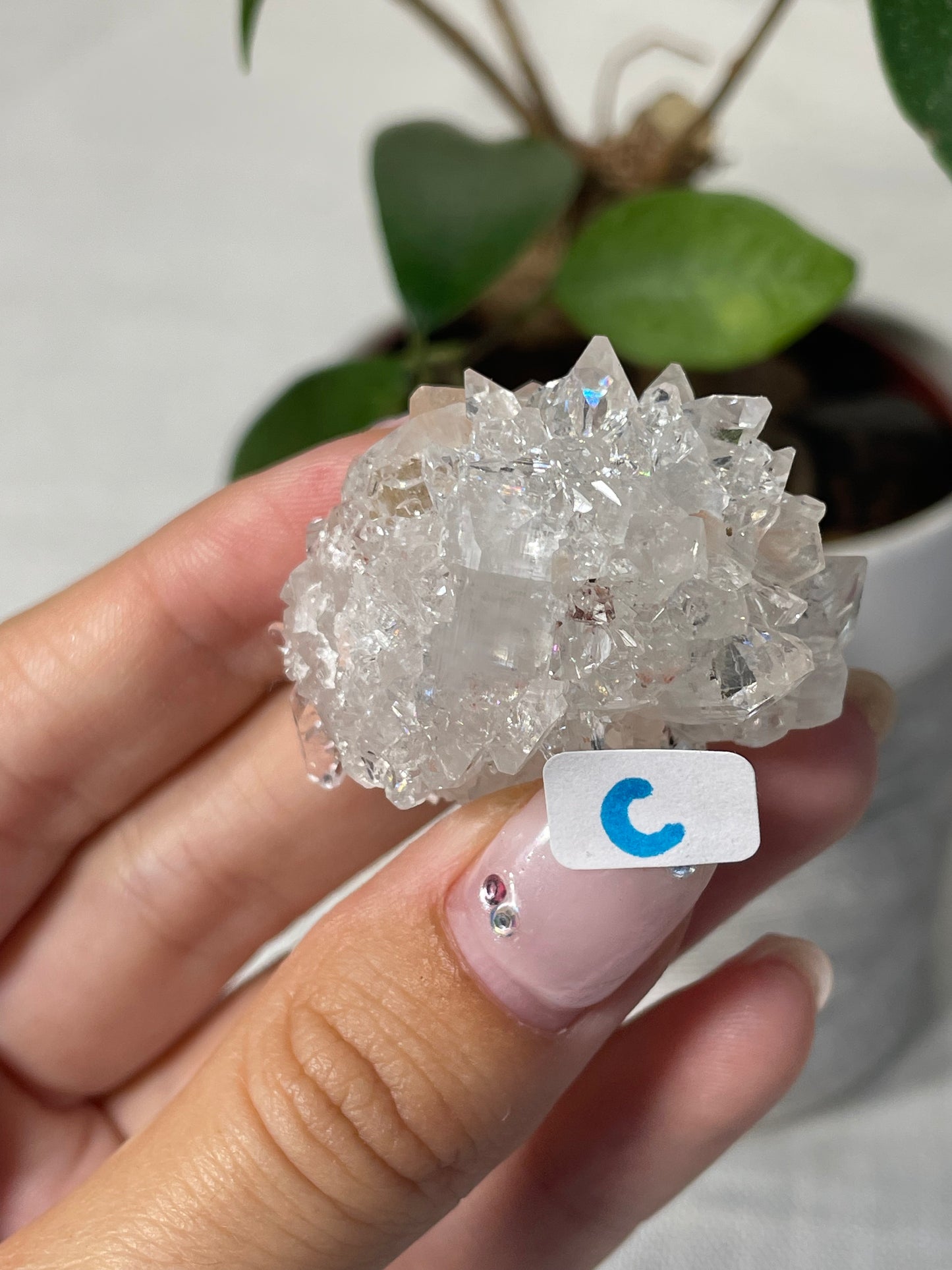 Diamond Apophyllite with Peach Stilbite Specimens