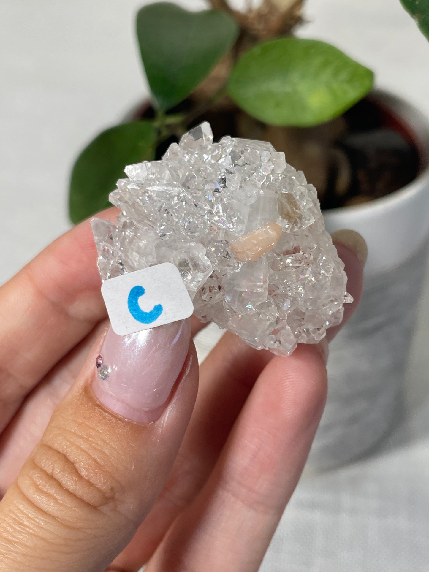 Diamond Apophyllite with Peach Stilbite Specimens
