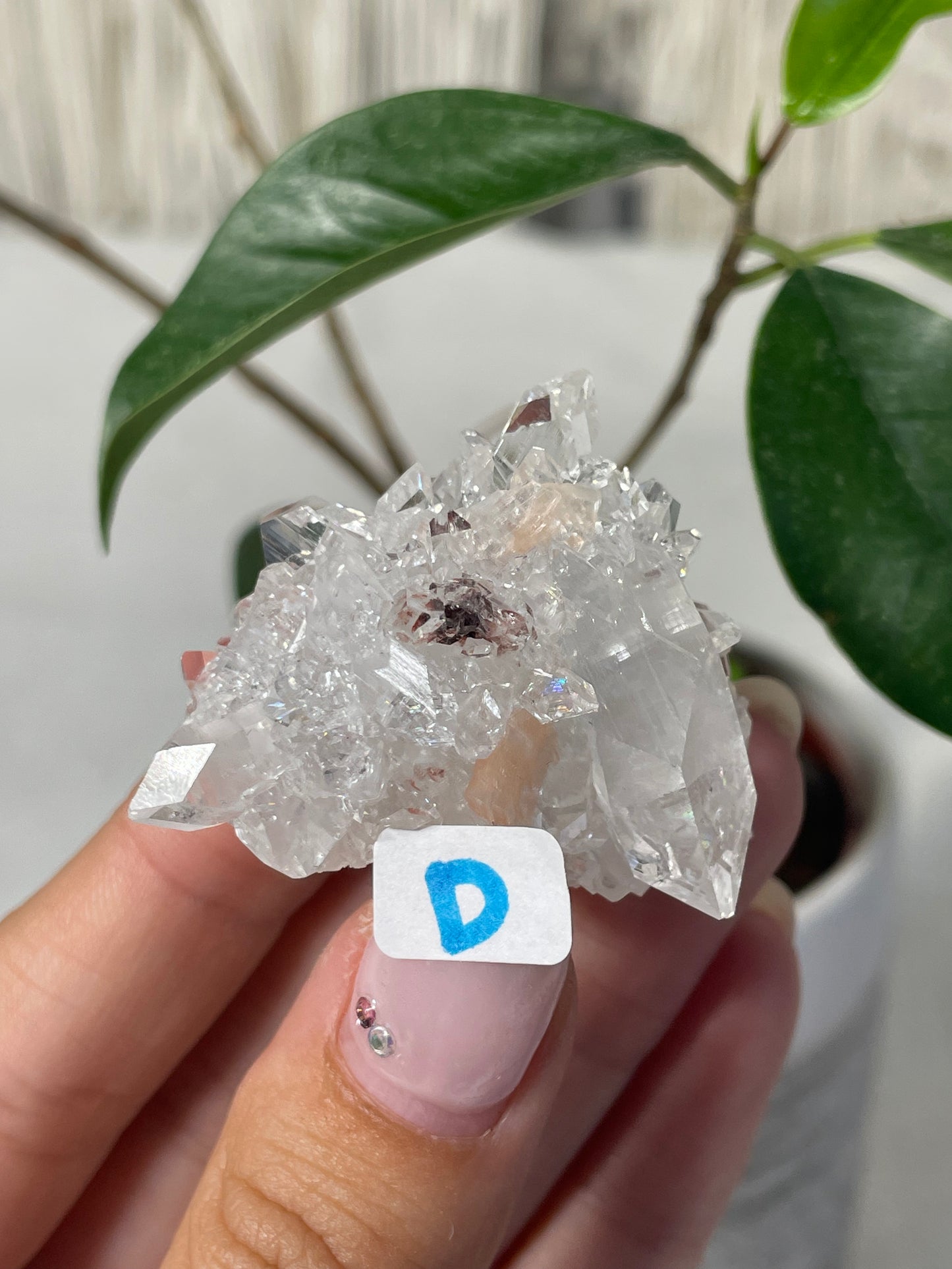 Diamond Apophyllite with Peach Stilbite Specimens