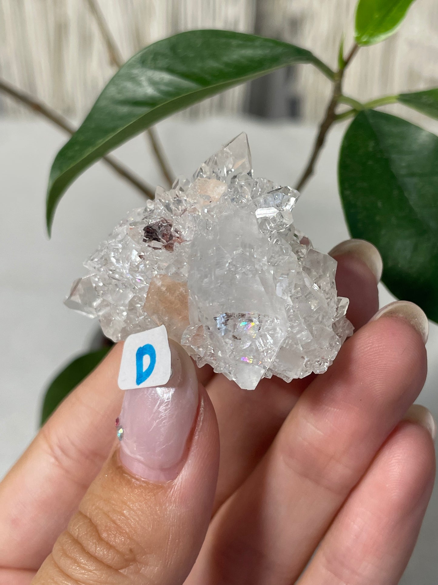 Diamond Apophyllite with Peach Stilbite Specimens