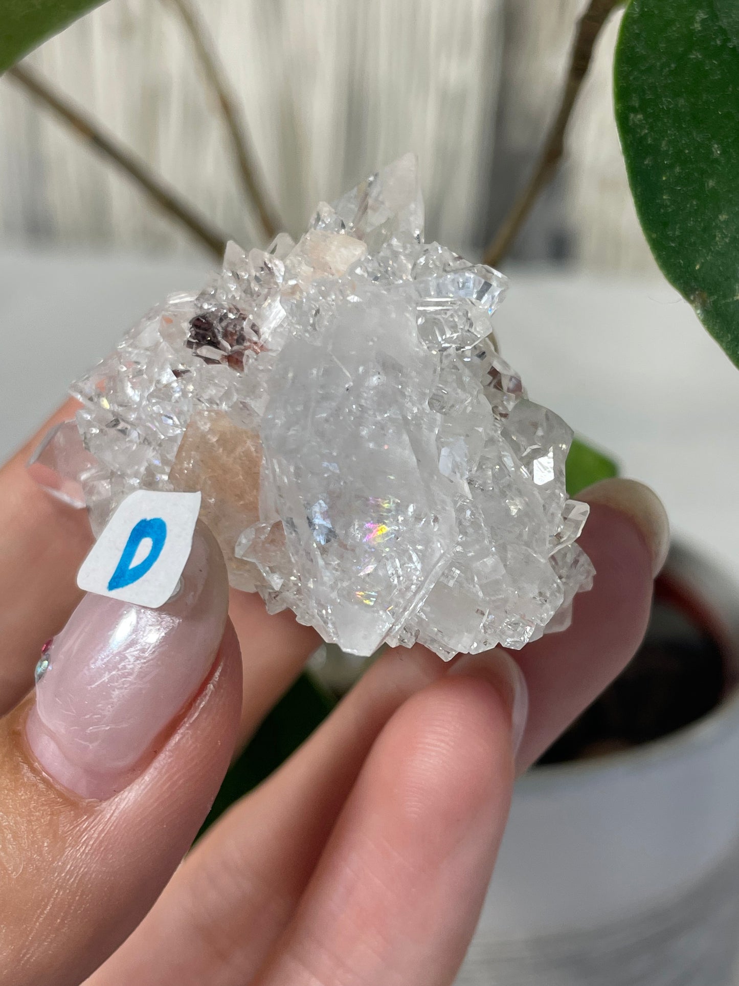 Diamond Apophyllite with Peach Stilbite Specimens