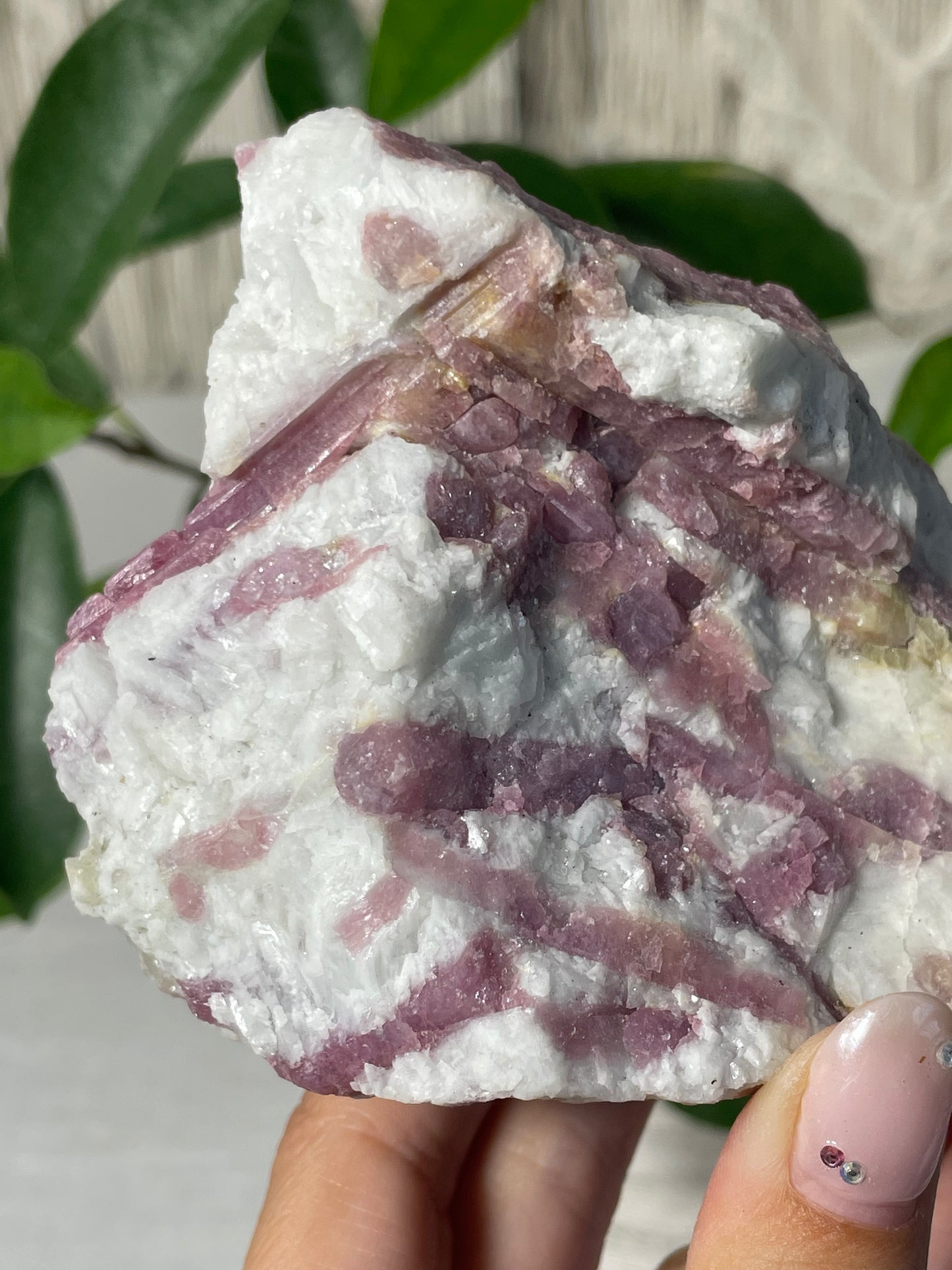 Pink Tourmaline