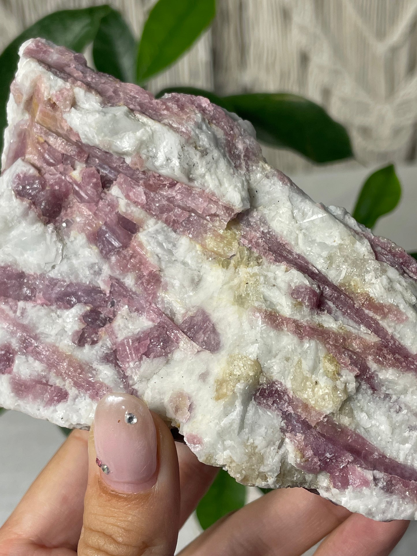 Pink Tourmaline