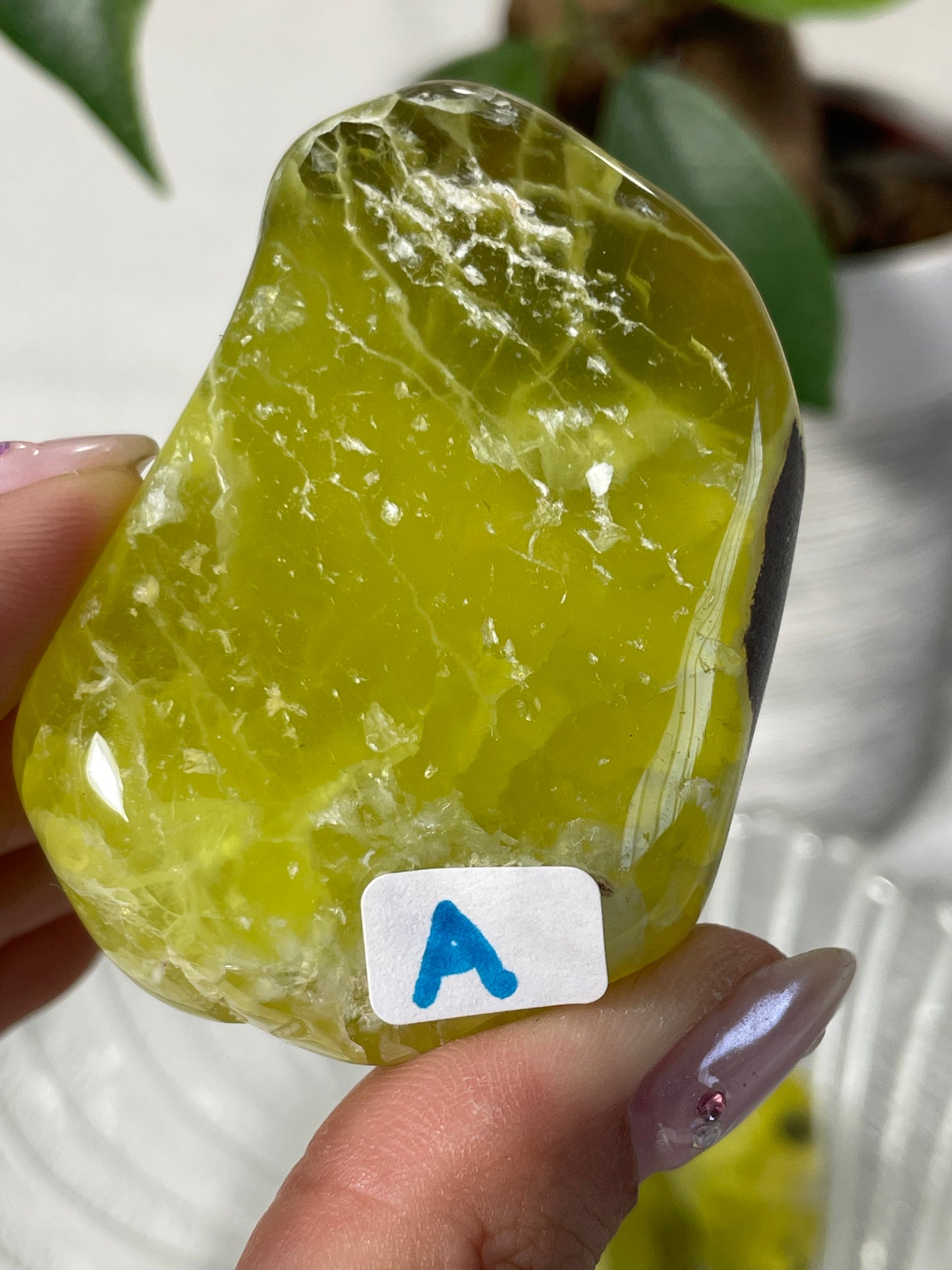 Lemon Prehnite Wave Hill Australia