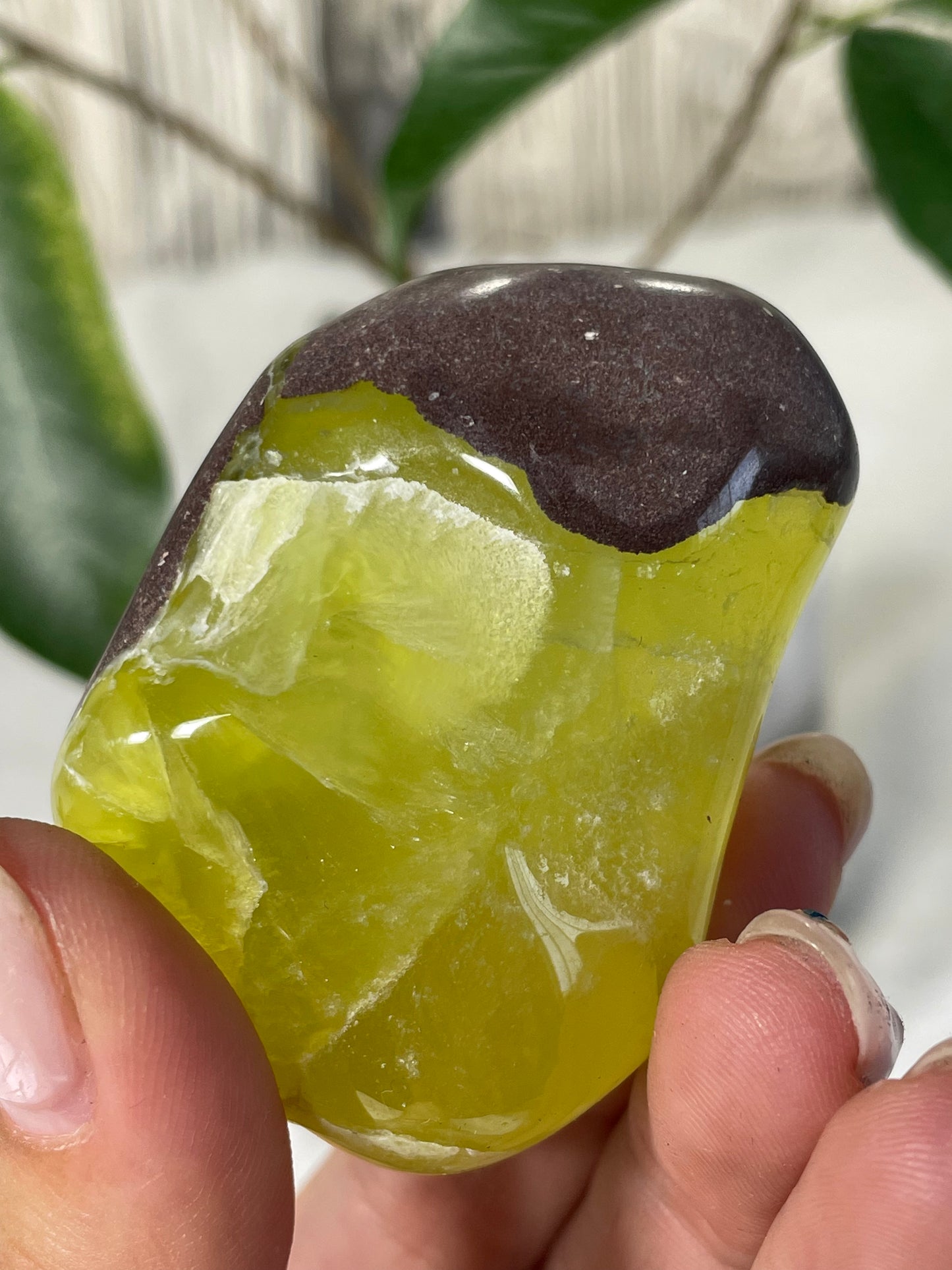 Lemon Prehnite Wave Hill Australia