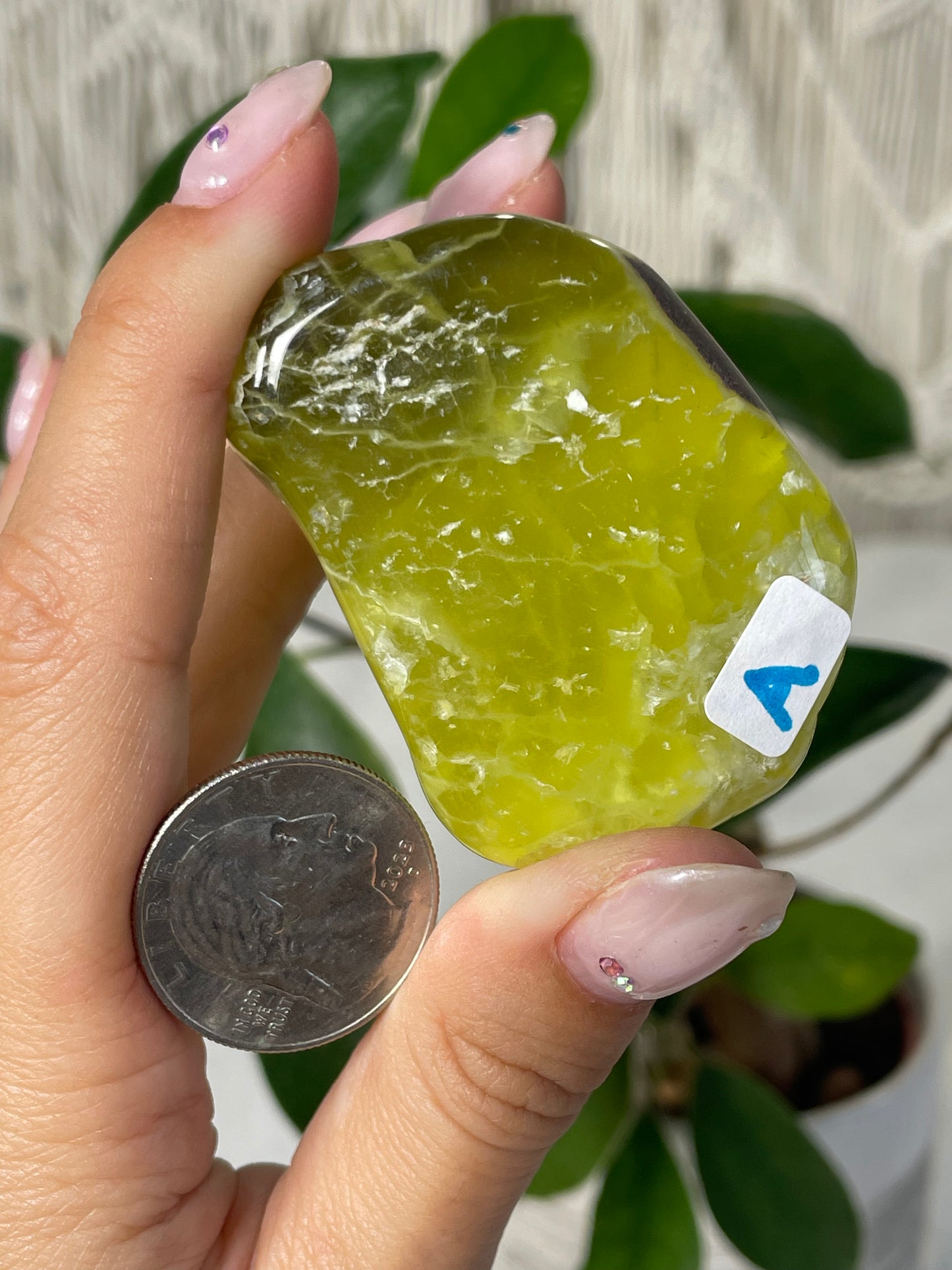 Lemon Prehnite Wave Hill Australia