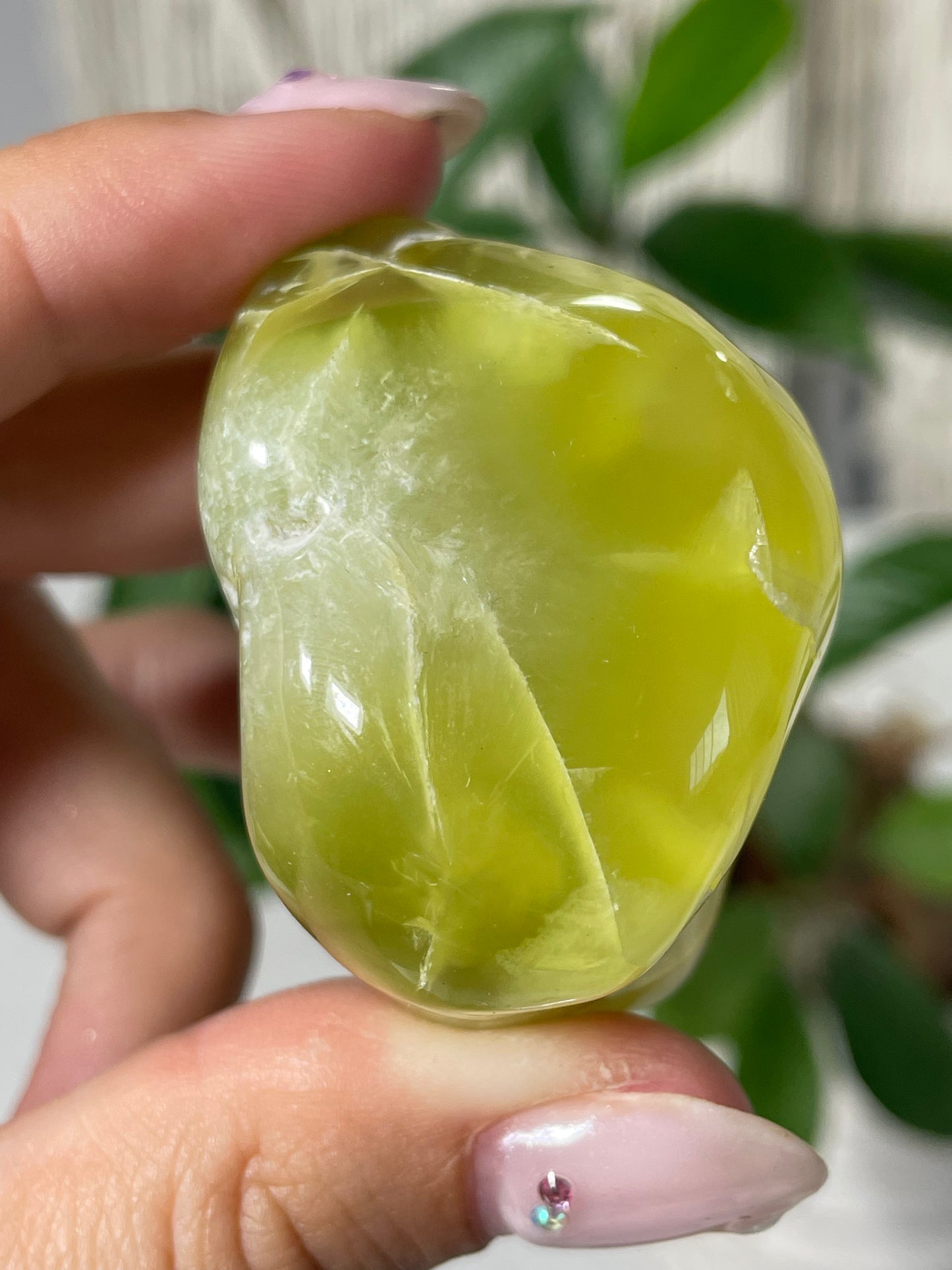 Lemon Prehnite Wave Hill Australia
