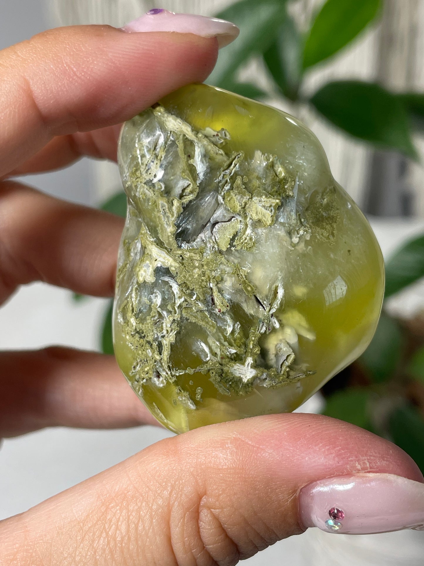 Lemon Prehnite Wave Hill Australia