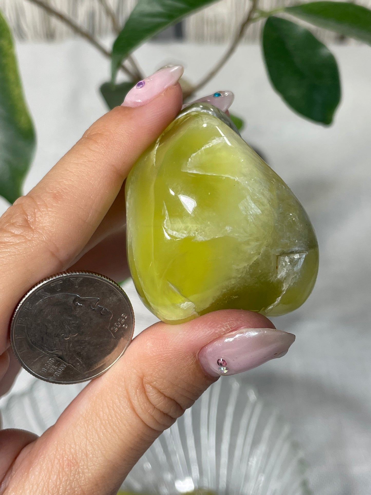 Lemon Prehnite Wave Hill Australia