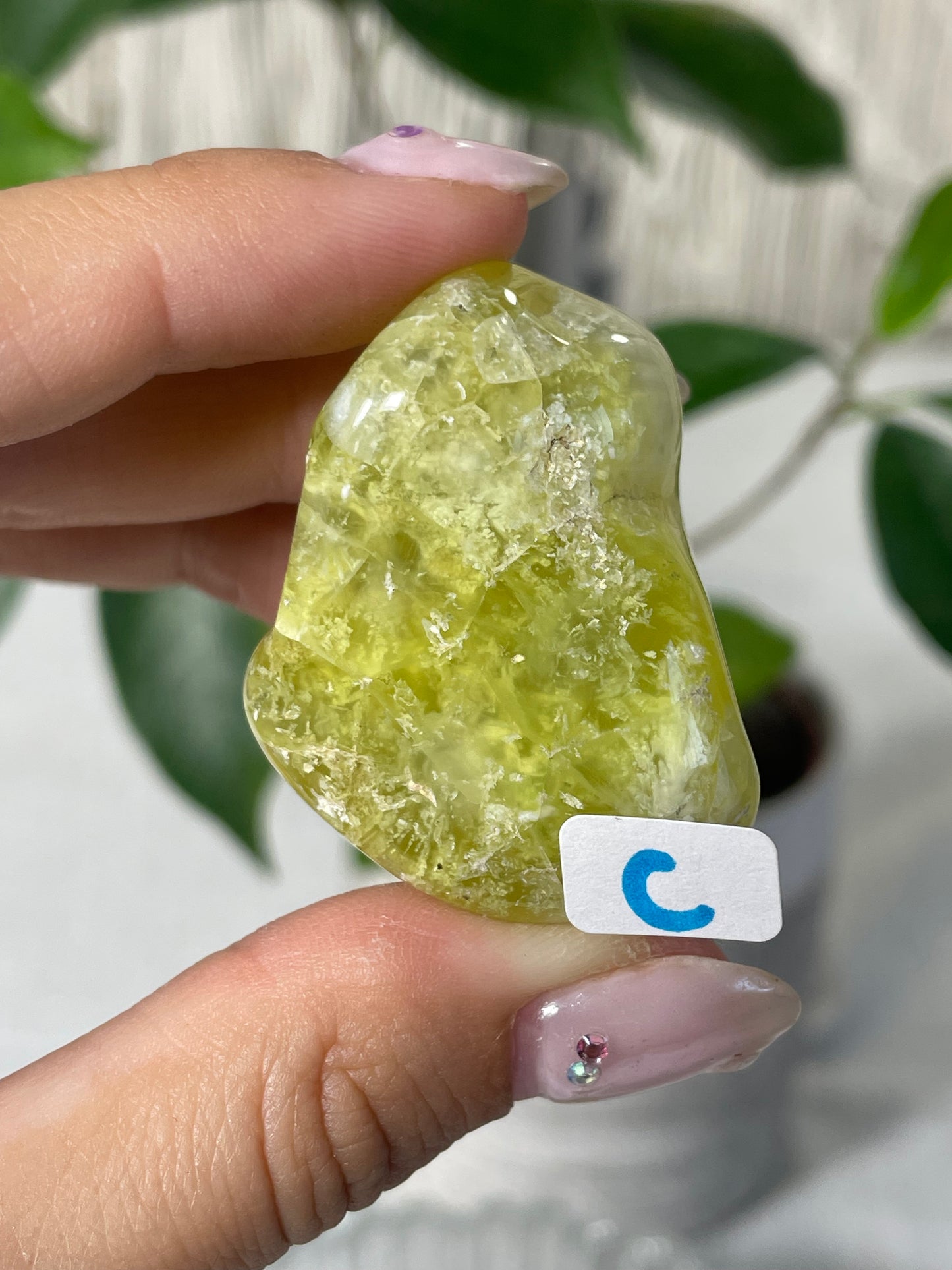 Lemon Prehnite Wave Hill Australia