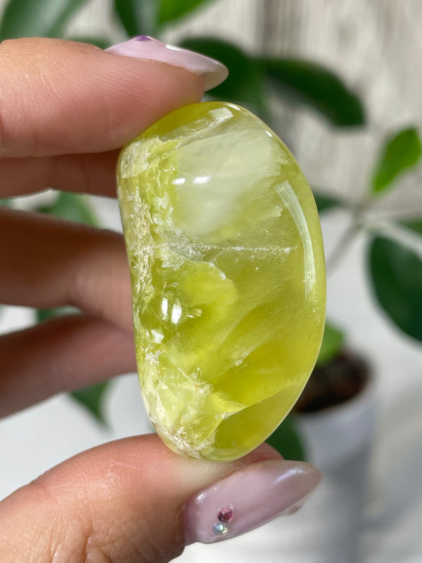 Lemon Prehnite Wave Hill Australia