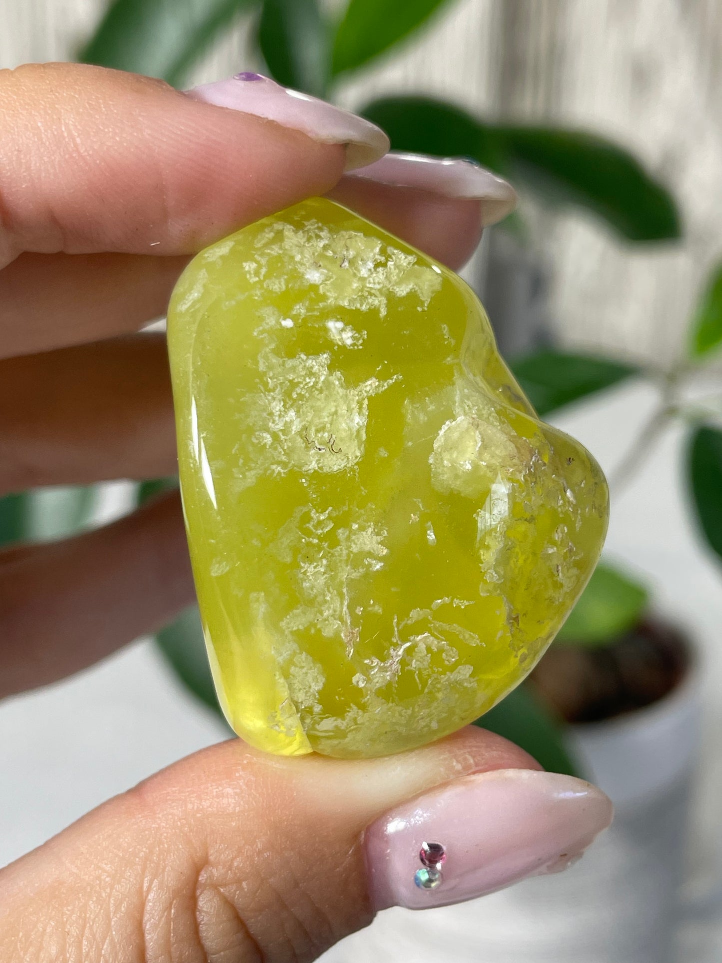 Lemon Prehnite Wave Hill Australia