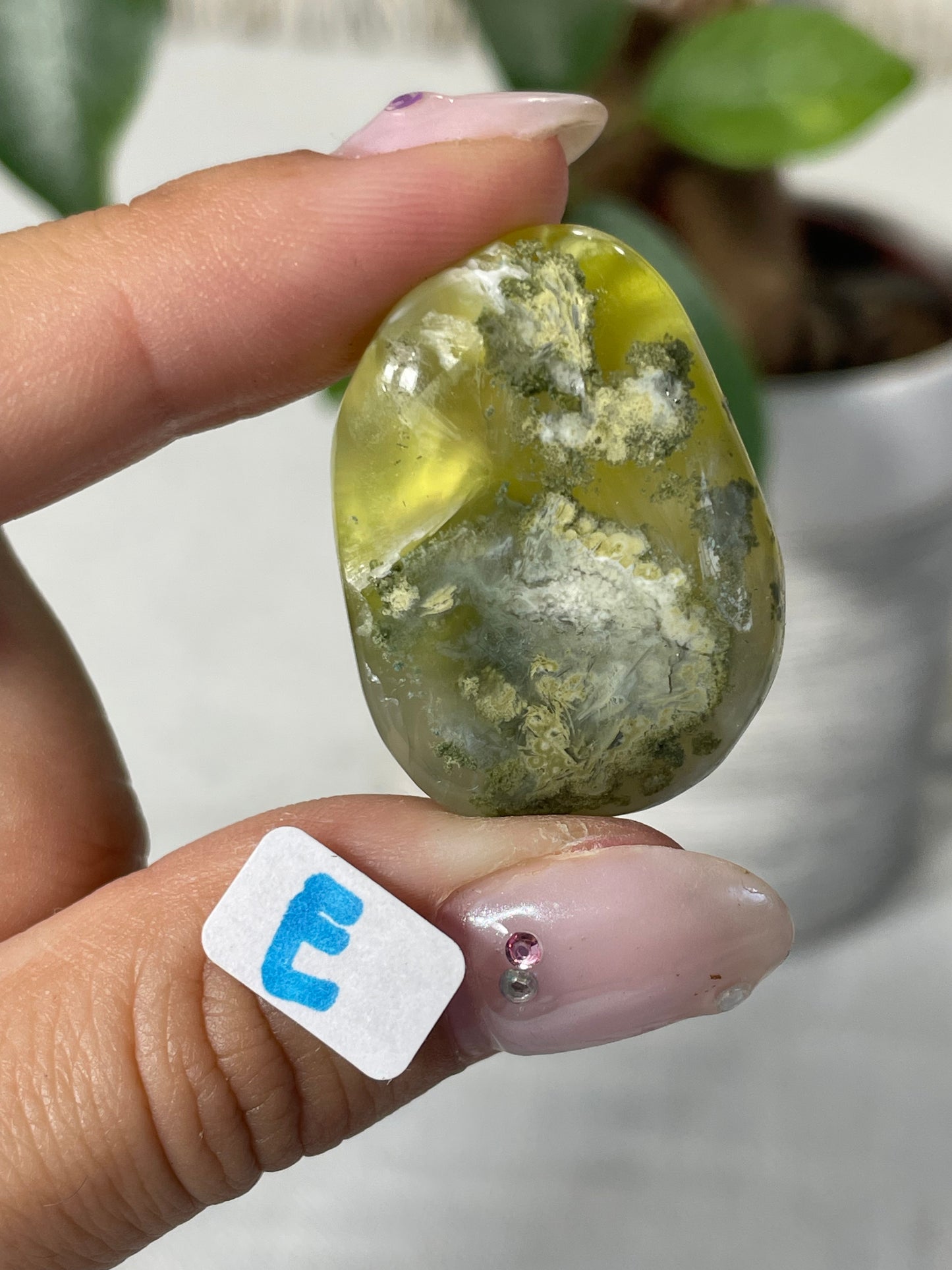 Lemon Prehnite Wave Hill Australia