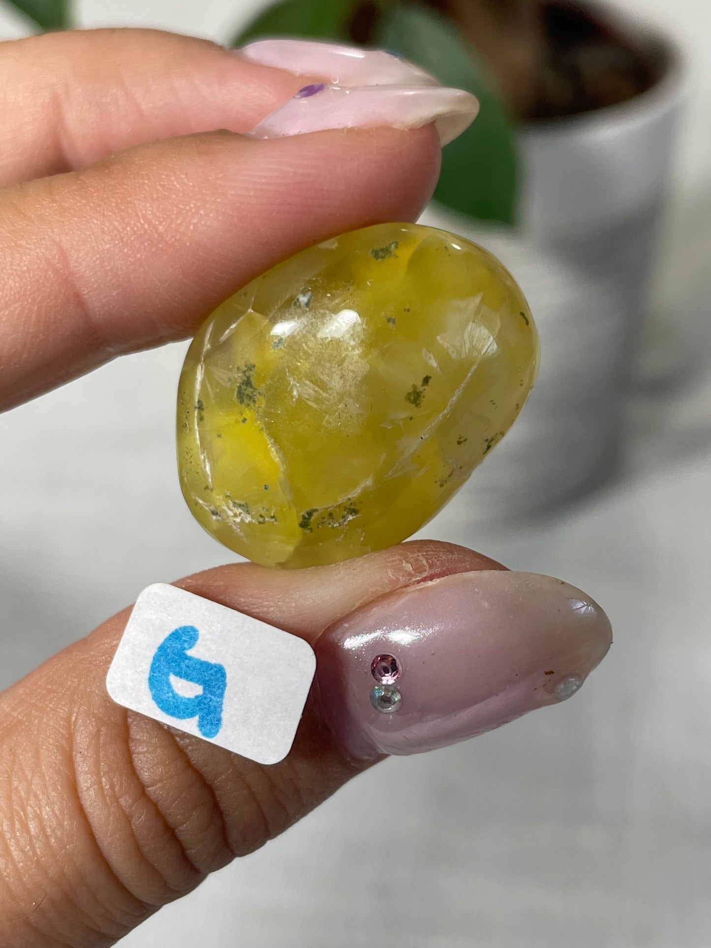 Lemon Prehnite Wave Hill Australia