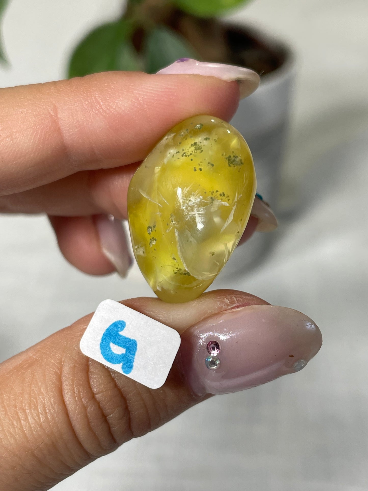 Lemon Prehnite Wave Hill Australia