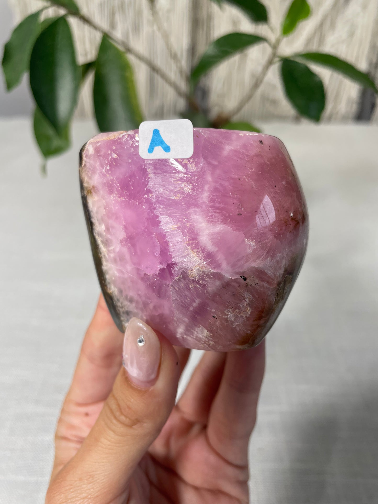 Pink Aragonite Morocco