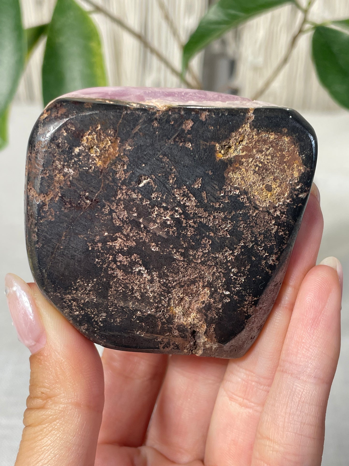 Pink Aragonite Morocco