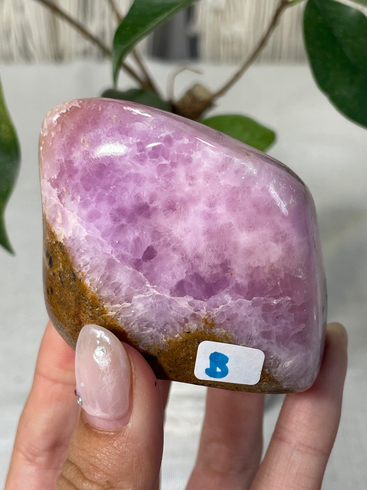 Pink Aragonite Morocco