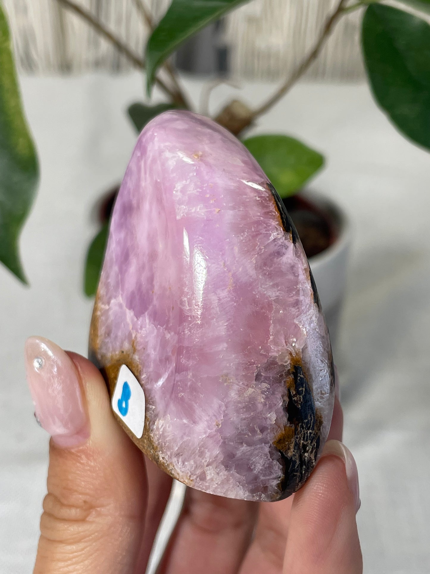 Pink Aragonite Morocco