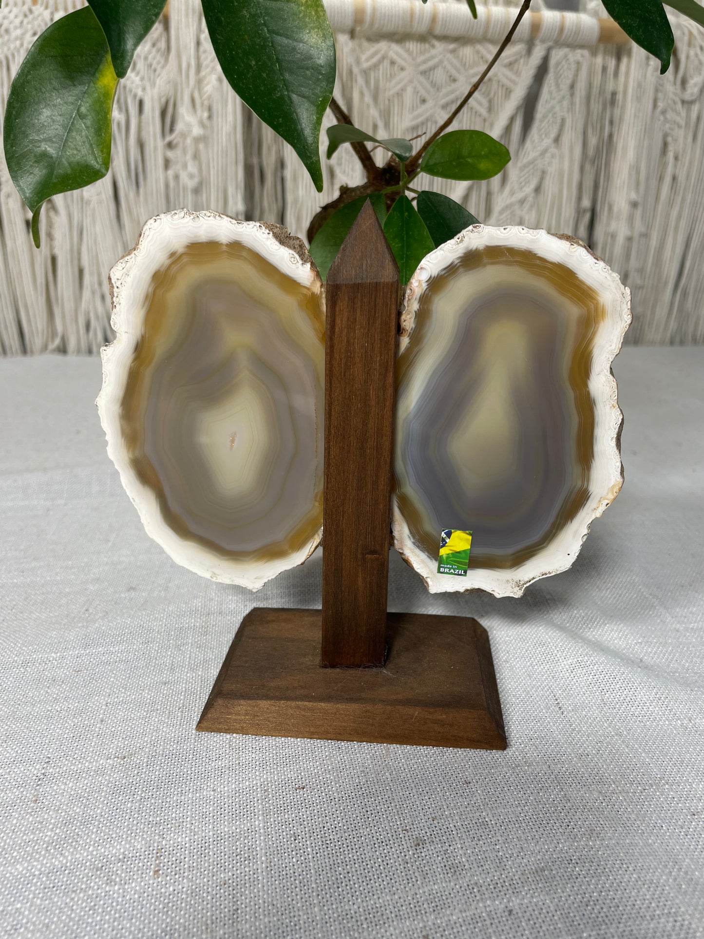 Brazilian Butterfly Agate Wings (A)