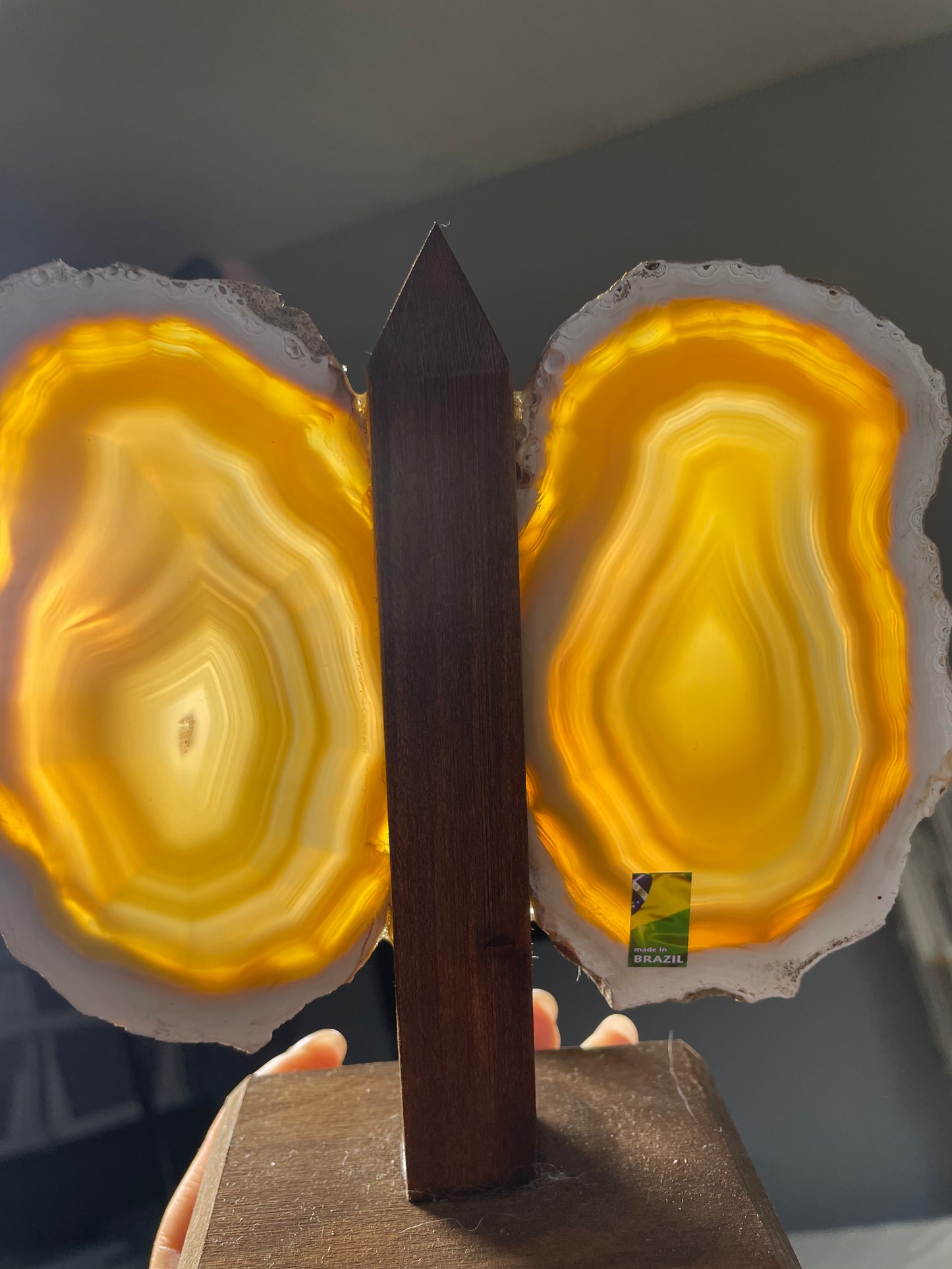 Brazilian Butterfly Agate Wings (A)