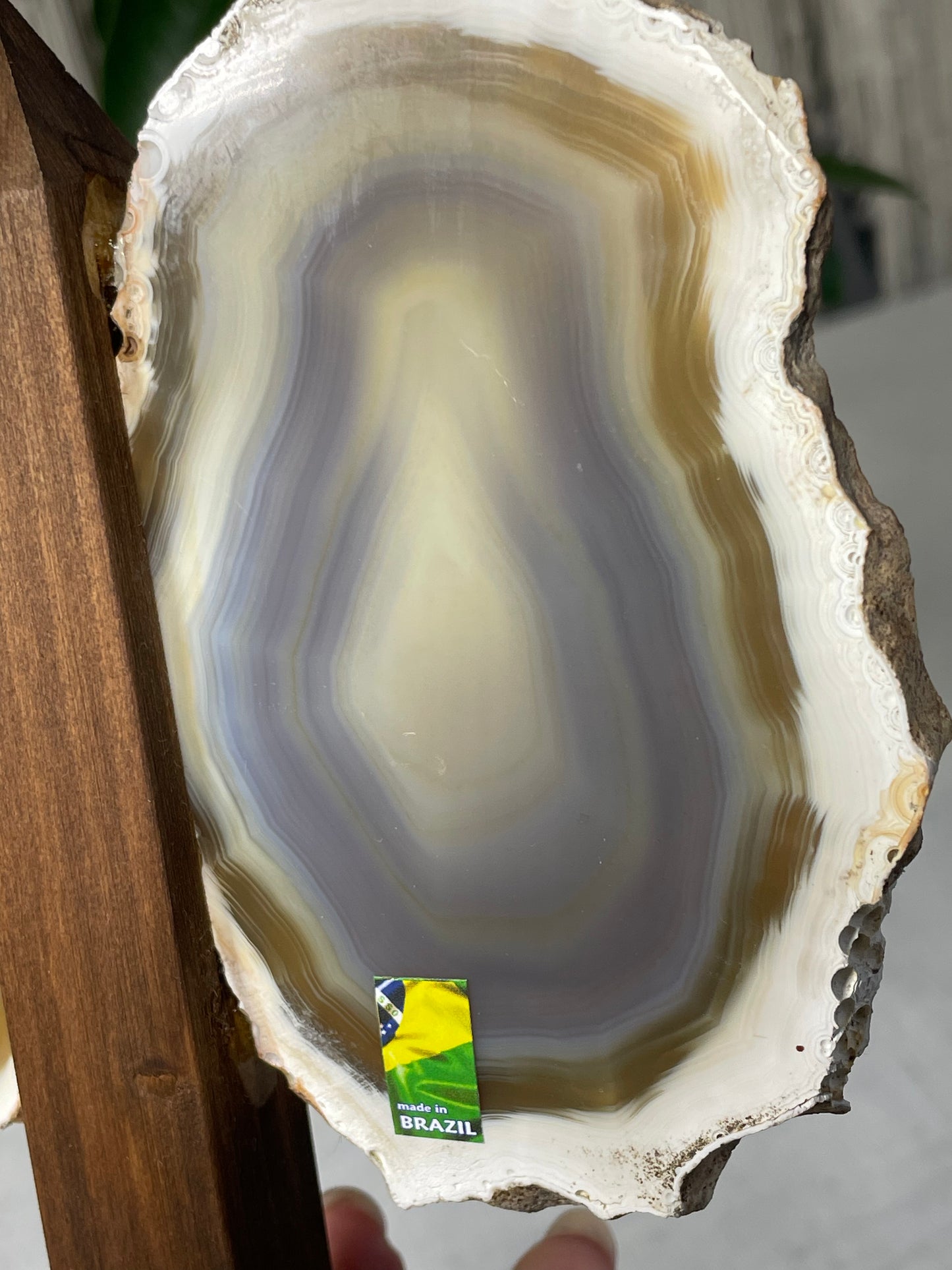 Brazilian Butterfly Agate Wings (A)