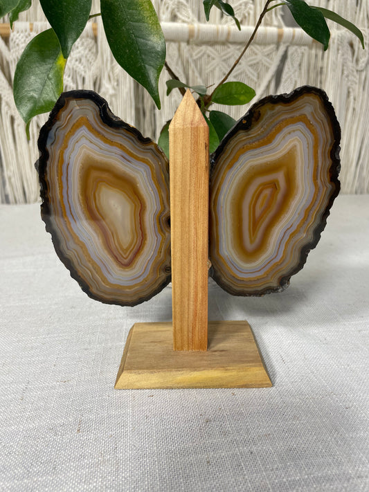 Brazilian Butterfly Agate Wings (B)