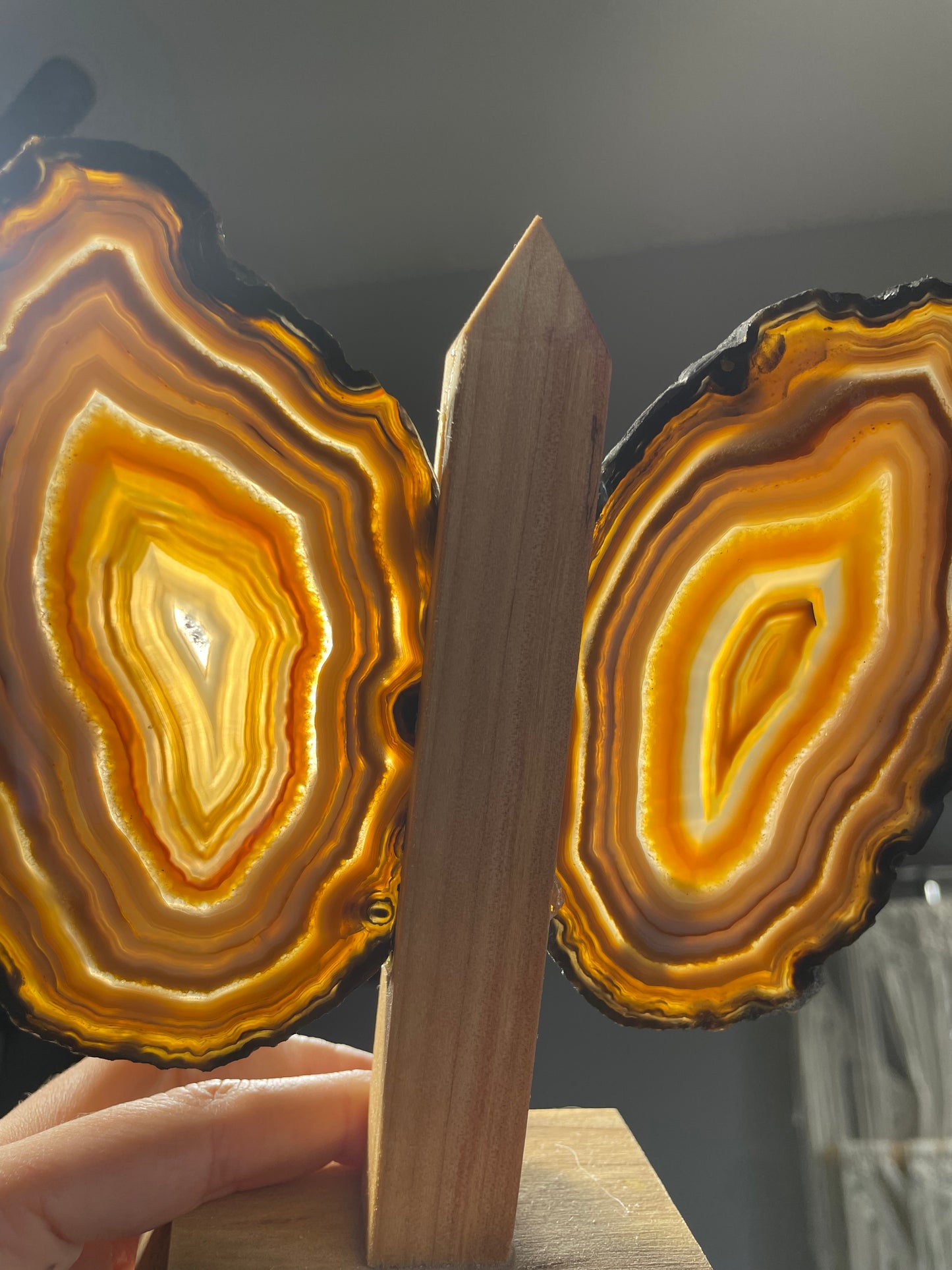 Brazilian Butterfly Agate Wings (B)