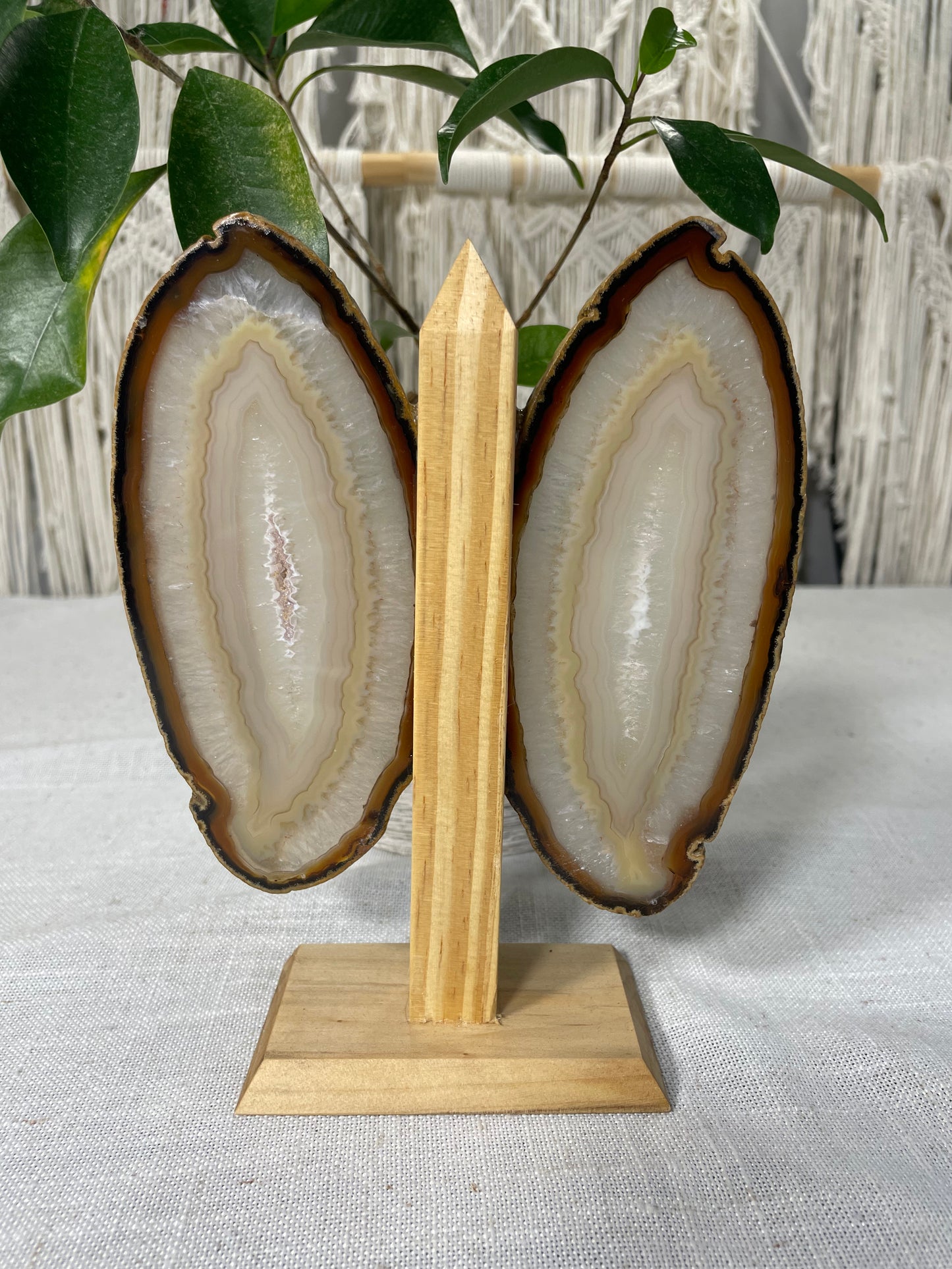 Brazilian Butterfly Agate Wings (C)