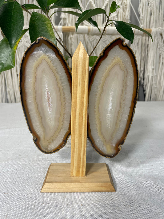 Brazilian Butterfly Agate Wings (C)